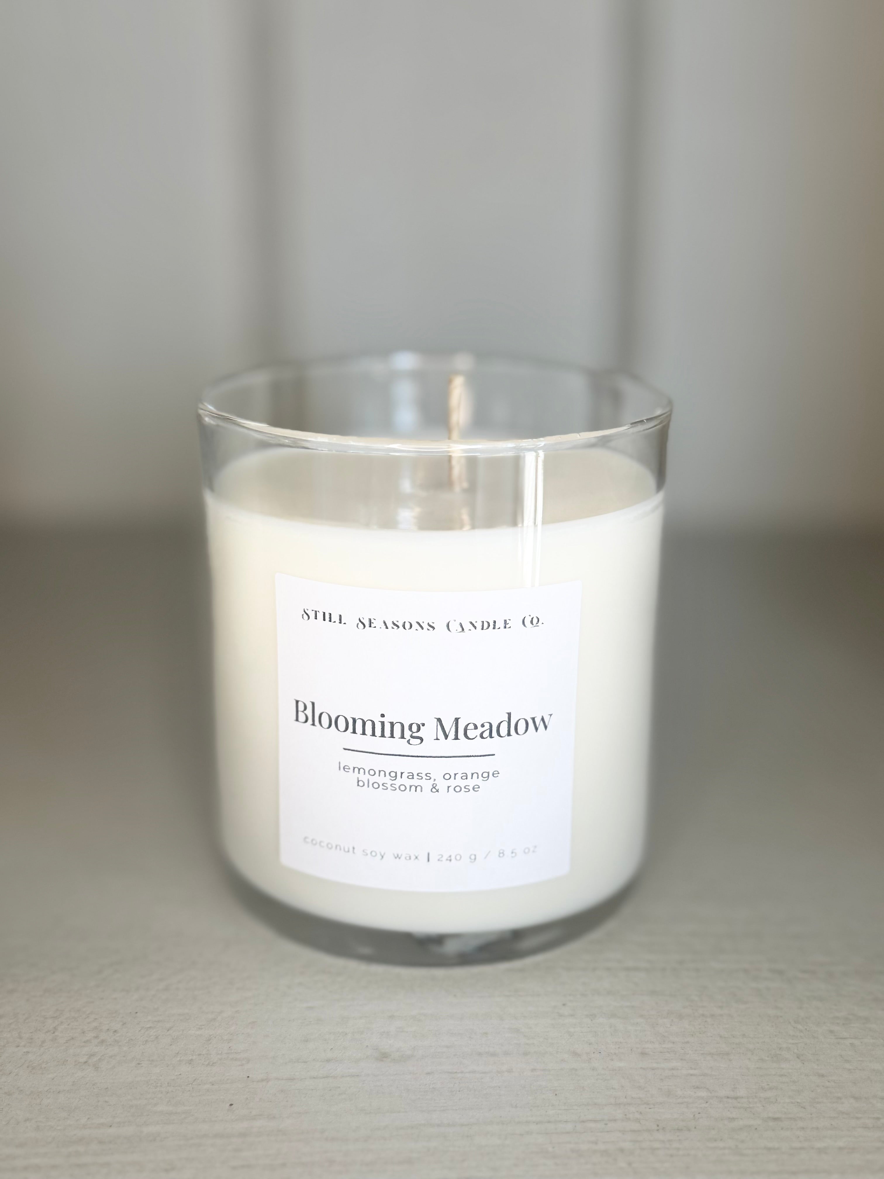 Blooming Meadow